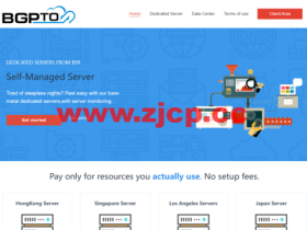 BGPTO:日本/新加坡机房便宜服务器,E3-1230v3/16GB内存/480G SSD硬盘/不限流量/10-100M带宽,$64/月