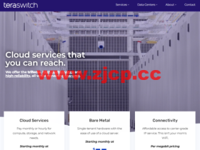 TeraSwitch:美国华盛顿机房vps,1核@AMD EPYC/1GB内存/20GB/10TB流量/1Gbps带宽,$4/月起,按小时付费,随时更换IP
