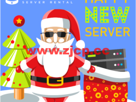 #圣诞促销#ProfitServer:亚特兰大/新加坡VPS五折,1核/1GB内存/15GB SSD/不限流量/100Mbps带宽,$2.88/月起