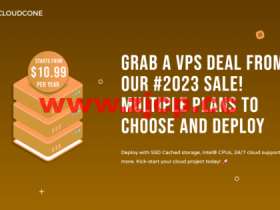 #新春优惠#CloudCone:美国便宜VPS,1Gbps带宽/免费自动快照/自动备份/防火墙托管,年付$10.99起