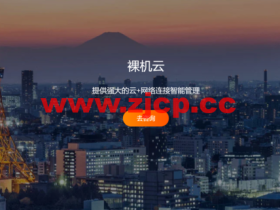 raksmart:E3-1230仅$30秒杀,BGP G口/不限$99秒杀,V4独服全场8折!