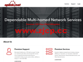 OpLink:美国休斯敦机房vps,AMD Ryzen@1核/512MB/20GB NVMe/10Gbps端口,$3.5/月