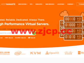 HostNamaste:大硬盘VPS,128G-8TB可选,月付$4.99起,2G内存特价VPS年付$36起,洛杉矶/达拉斯等机房