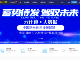 树叶云:内蒙古/江苏南京云服务器,5M-20M带宽,20G防御,25元/月起