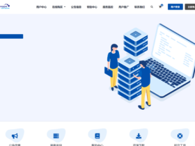#年终促销#DotdotNetwork:首月半价 ,买半年送半年,美国洛杉矶10Gbps带宽VPS,$3/月起