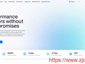 Server_vy:荷兰VPS,1核/2GB/10GB SSD/100Mbps无限流量,€1.5/月