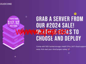 CloudCone:美国洛杉矶便宜VPS,2核/1G/55GB SSD/2T月流量/1Gbps带宽,$17.12/年