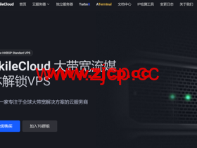 Akilecloud:香港国际线路vps,1核/512MB内存/5GB SSD/200GB流量/1Gbps端口,4.99元/月