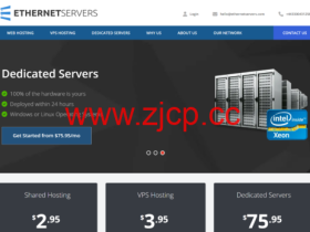 EtherNetservers:美国/德国vps,1核/1GB/25G SSD/2TB@10Gbps带宽,月付1.97美元起