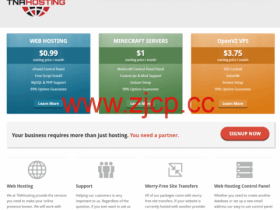 TNAHosting:芝加哥vps,2核/1GB/30GB SSD/15TB@1Gbps带宽,$14.4/年