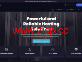 LuxVPS:德国vps,4核/16GB/100GB/20TB@1Gbps带宽,€6.99/月