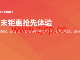 RAKsmart:年末钜惠,独立服务器5折/续费同价,美国/日本/香港机房$35/月起,高防/大带宽/站群服务器
