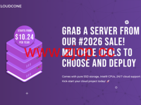 #Hashtag 2026 Sale#CloudCone:洛杉矶vps,2核/1GB/50GB/3TB流量/1Gbps带宽,$10.24/年