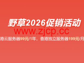 野草云:2026 最新优惠 香港 VPS 年付 99 元起 香港服务器 199 元 / 月 支持国际 / 优质 / 精品网络