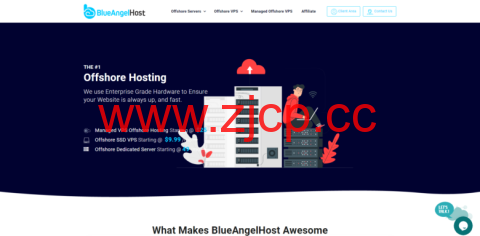 blueangelhost：保加利亚专业离岸主机，无视版权投诉，免费100G DDOS防护，KVM VPS $8.99起