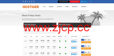 Hostigger：2021年黑色星期五促销Black Friday Discounts开启，VPS和VDS年付四折优惠，买2年送1年插图