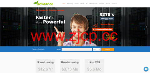 Dewlance：加拿大vps，2核/1GB内存/20GB SSD硬盘/1TB流量/500Mbps端口，$25/年插图