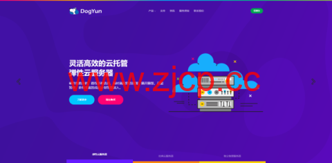 DogYun春节优惠：动态云7折,经典云8折,独立服务器月省100元,充100送10元插图