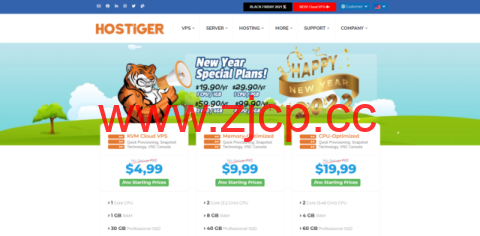 hostiger：美国便宜VPS，1核/1G内存/20G SSD/100M@1T流量，$19.9/年，可选土耳其/美国/荷兰插图