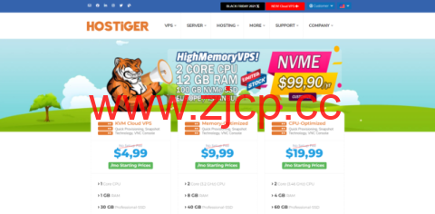 hostiger：土耳其便宜VPS，2核/12G内存/100G Nvme SSD/300M带宽/1T流量，$99,90/年插图