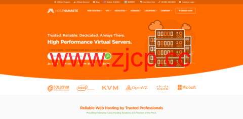 hostnamaste：美国vps/法国vps/加拿大vps，1核/1G内存/30G硬盘/1TB流量，20美元/年插图
