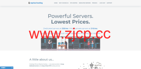 RepriseHosting：美国便宜服务器服务器，L5640/16G内存/1TB硬盘/20TB/1Gbps，$25.97/月插图