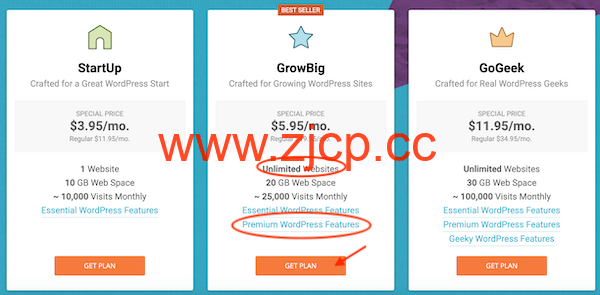Siteground主机购买使用教程插图4