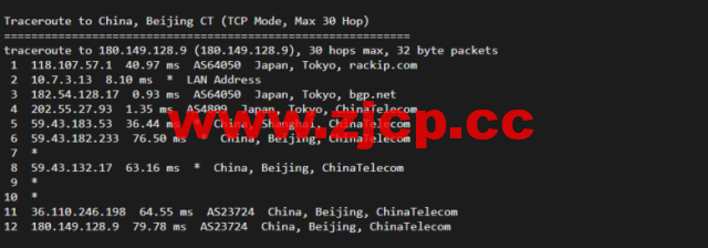 稳爱云：新上日本CN2 VPS，1核/1G内存/30M带宽，月付32元起，附简单测评插图10
