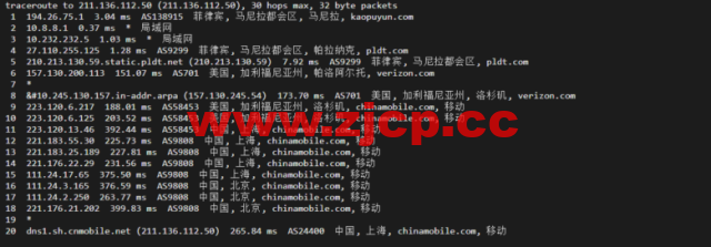 lightnode：菲律宾VPS，1核/2G内存/50G硬盘/1000GB流量，月付$7.71，解锁流媒体/小时计费，简单测评插图20