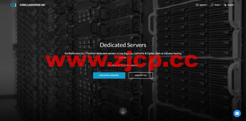 GorillaServers：美国盐城湖独服，E3-1270v3/32GB内存/64TB硬盘/50TB流量/1Gbps带宽，$99/月起插图