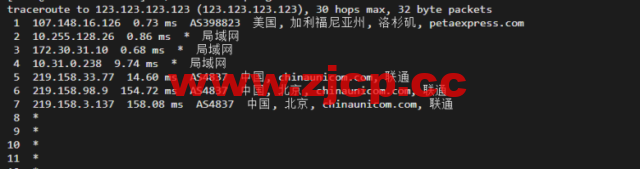 raksmart：美国洛杉矶机房独立服务器，大陆优化100M线路（个别地区走cn2线路回国），机器性能/流媒体/线路等测评数据分享插图16