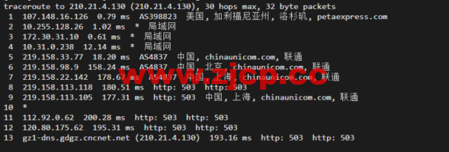 raksmart：美国洛杉矶机房独立服务器，大陆优化100M线路（个别地区走cn2线路回国），机器性能/流媒体/线路等测评数据分享插图18