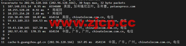 raksmart：美国洛杉矶机房独立服务器，cn2 30M线路，机器性能/流媒体/线路等测评数据分享插图15