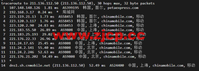 raksmart：韩国首尔机房独立服务器，精品网10M线路，机器性能/流媒体/线路等测评数据分享插图20