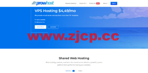 #上新#prowhost：美国便宜vps，1核/1G内存/25G硬盘/1TB流量，$4.99/首月，续费$9.99/月，可选纽约/旧金山/多伦多/班加罗尔机房插图