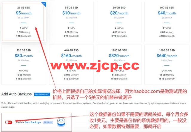 Vultr：2022最新服务器购买教程-怎么购买Vultr服务器VPS主机插图5