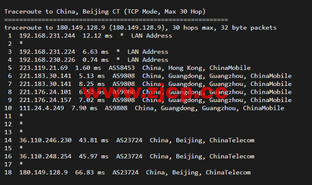10gbiz：香港VPS云服务器（GIA+VIP）线路，简单测评插图15