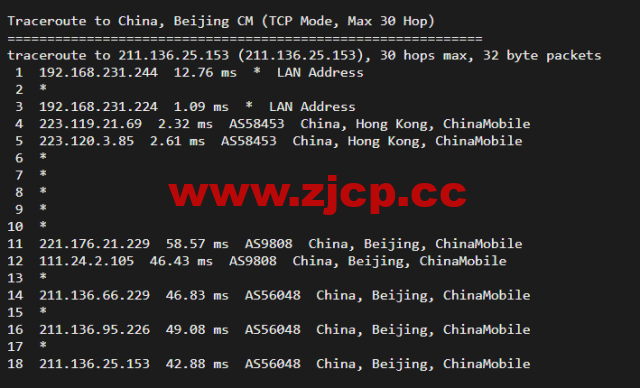 10gbiz：香港VPS云服务器（GIA+VIP）线路，简单测评插图21