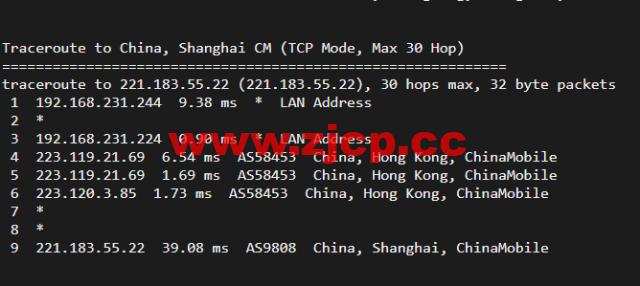 10gbiz：香港VPS云服务器（GIA+VIP）线路，简单测评