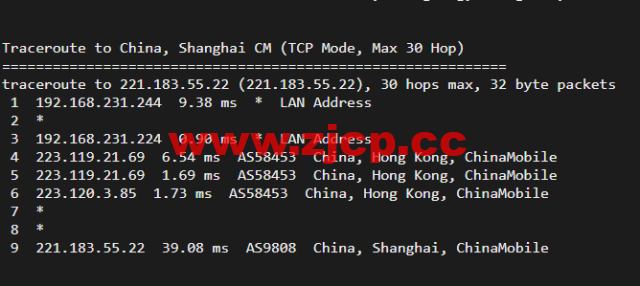 10gbiz：香港VPS云服务器（GIA+VIP）线路，简单测评插图22