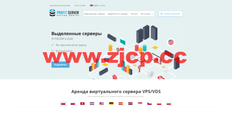 ProfitServer：荷兰VPS，阿姆斯特丹机房五折，1核/1G内存/10G SSD硬盘/不限流量/100M带宽，月付2.88美元起插图