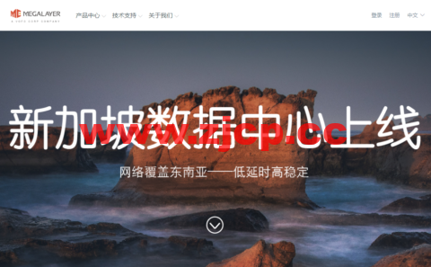 Megalayer：新加坡vps，原生IP，1核/1G内存/50GB硬盘/不限流量，年付249元起，新加坡/香港/菲律宾/美国VPS年付199元起，特价独立服务器399元/月起插图