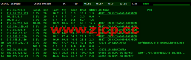 稳爱云：日本CN2 vps，20-50M带宽优质回国线路，月付32元起，原生IP，支持linux/Windows，解锁tiktok，附简单测评插图14