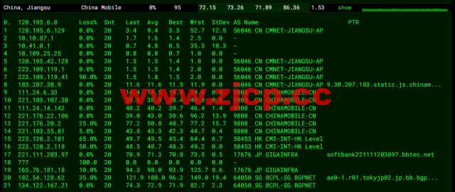 稳爱云：日本CN2 vps，20-50M带宽优质回国线路，月付32元起，原生IP，支持linux/Windows，解锁tiktok，附简单测评插图15