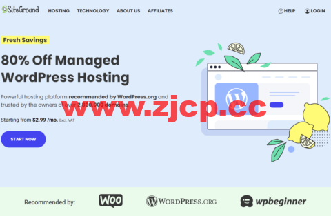 SiteGround：80%折扣，WordPress官方推荐主机，月付$2.99起，免费电子邮件、SSL、CDN、备份、站点转移插图