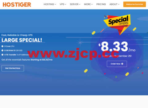 Hostiger：土耳其VPS，3核/8G内存/80G SSD/300M@4TB流量，年付100美元插图