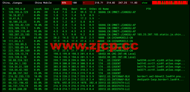 EtherNetservers：美国洛杉矶机房，年付12美元起，原生ip，解锁tiktok，简单测评插图15