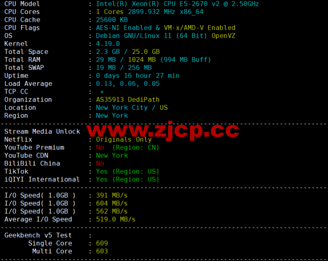 EtherNetservers：美国新泽西机房，年付12美元起，原生ip，解锁tiktok，Disney+，简单测评插图1