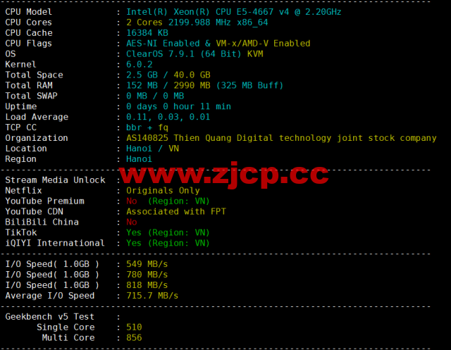 HostingViet：越南便宜VPS，1核/2G内存/20GB SSD/不限流量/150Mbps带宽，15元/月起，原生ip，解锁tiktok，简单测评插图1