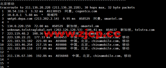 lightnode：阿曼马斯喀特机房VPS，1核/2G内存/50G硬盘/1000GB流量/100Mbps带宽，月付$7.71起，简单测评插图23